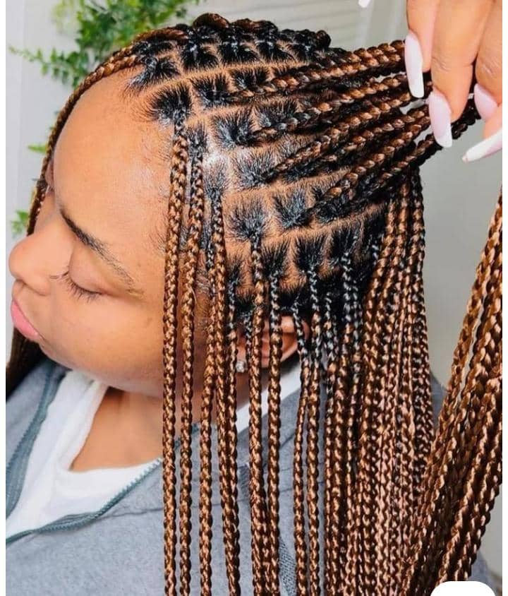 Rasta américain  Au dos (petit 7000 / moyen 9000 / Gros 11000) Au fesse (petit 9500 /moyens 11000 / 12500) En dessous des fesses (petit 1000 0 / moyens 13000 / gros 15000)